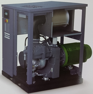 ZS Oil Free Atlas Screw Air Compressor ISO 8573-1 Class 0 Сертифицированный для критических процессов
