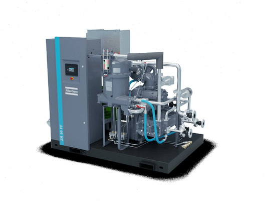 Компрессоры воздуха Atlas Copco ZT/ZR 55-90 (VSD) (FF) энергобезопасные